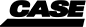 Case